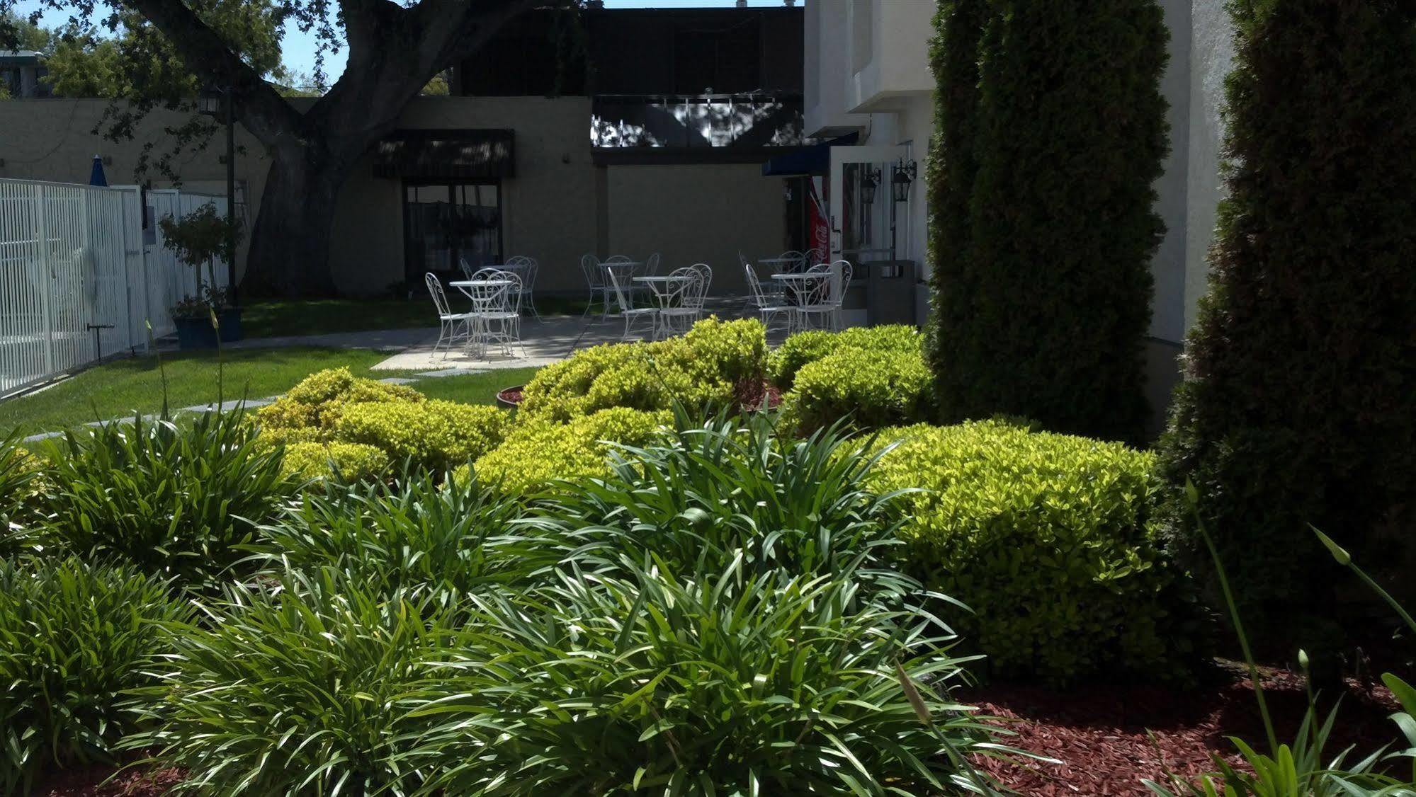The Hotel Aria - Mountain View Esterno foto
